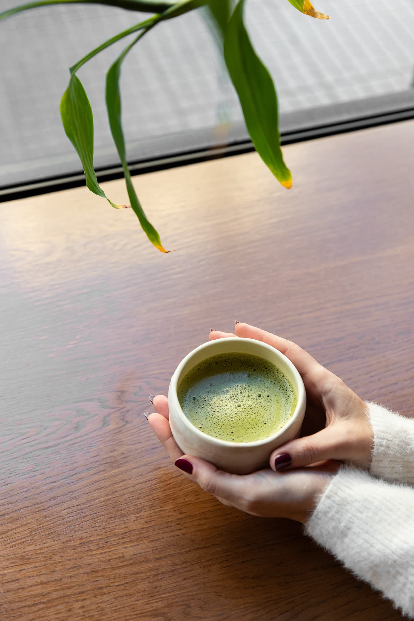 A cup of matcha held in two hands
